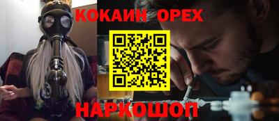 сатива Кунгур
