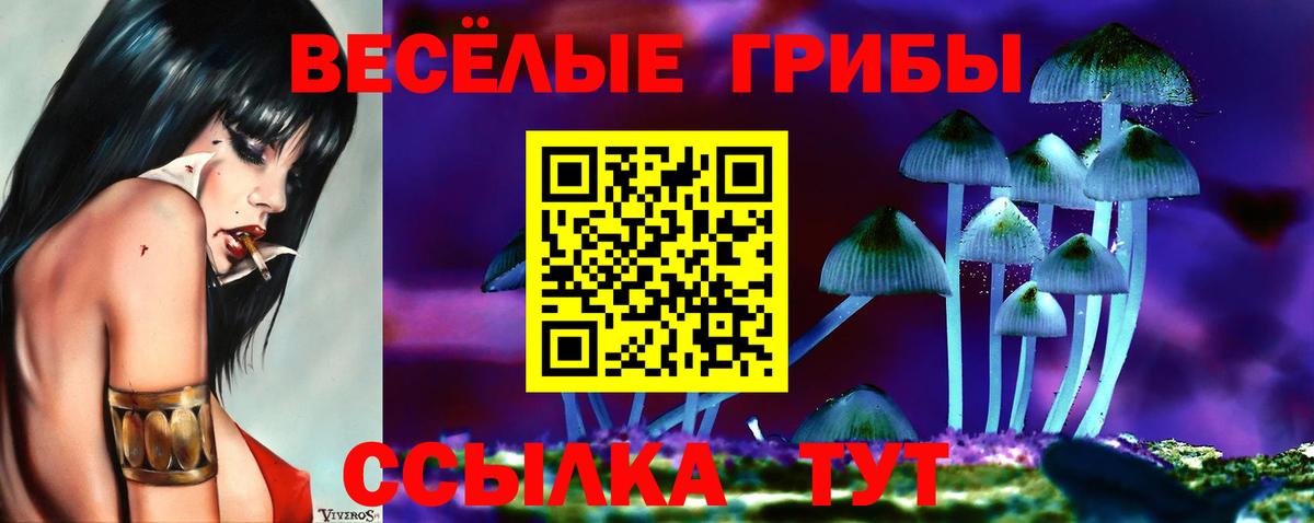Иваново  Галлюциногенные грибы прущие грибы  Вход с VPN 